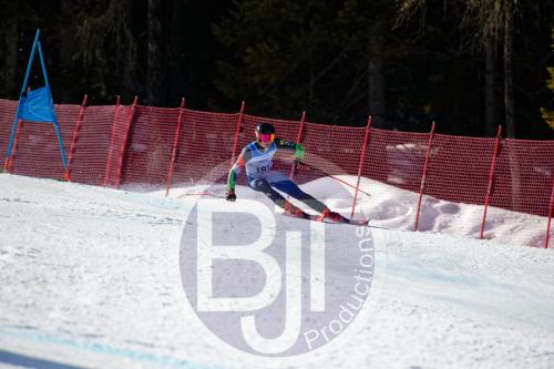 BJT10330 DxO