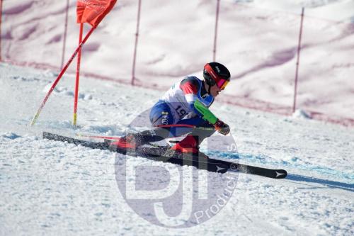 BJT10332 DxO