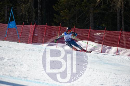BJT10347 DxO