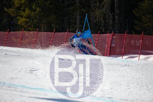 BJT10353 DxO