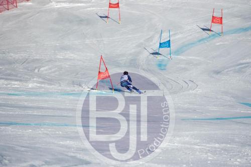 BJT10359 DxO