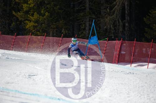 BJT10365 DxO