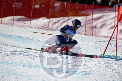 BJT10385 DxO
