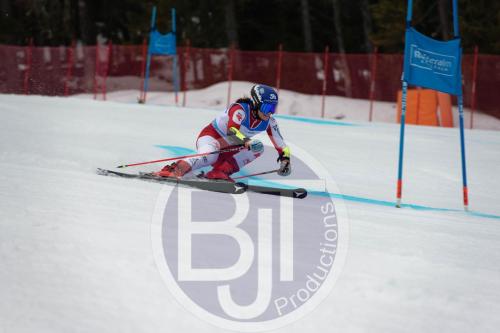BJT 9507 DxO