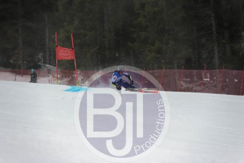 BJT 9510 DxO