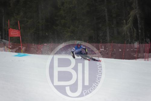 BJT 9512 DxO