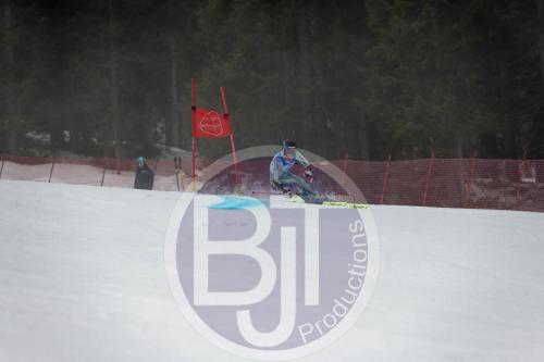 BJT 9516 DxO
