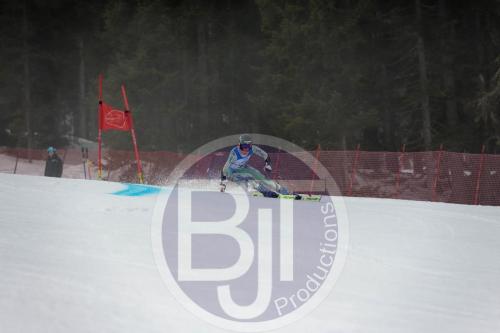 BJT 9517 DxO