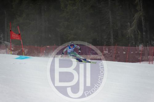 BJT 9518 DxO