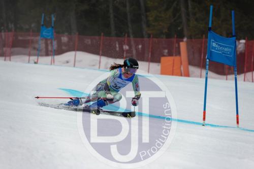 BJT 9519 DxO