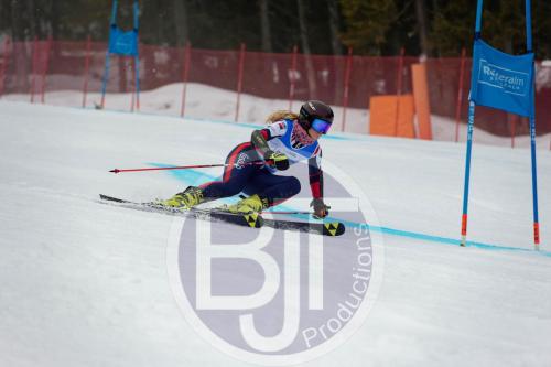 BJT 9524 DxO
