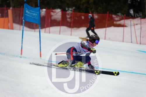 BJT 9526 DxO