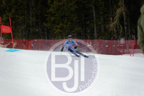BJT 9529 DxO