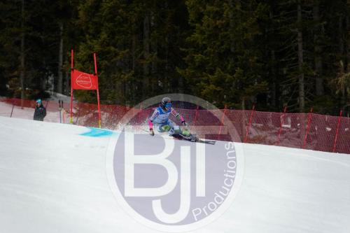 BJT 9532 DxO