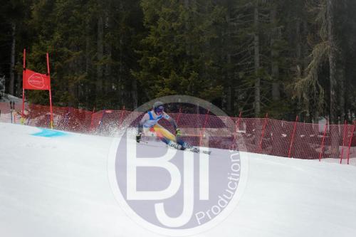BJT 9537 DxO