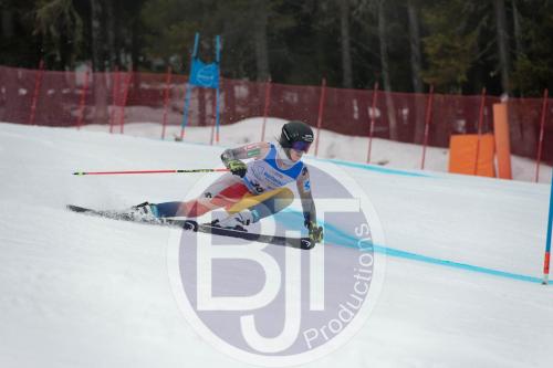 BJT 9538 DxO