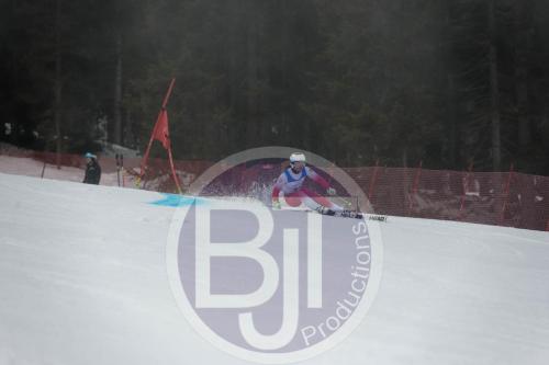 BJT 9540 DxO