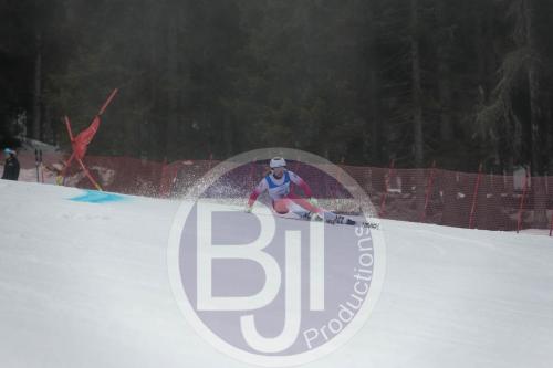 BJT 9541 DxO