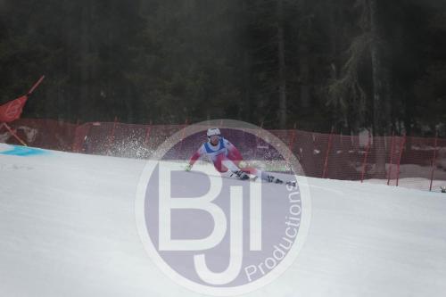 BJT 9542 DxO