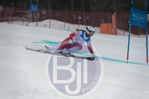 BJT 9544 DxO