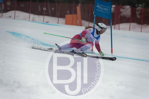 BJT 9545 DxO