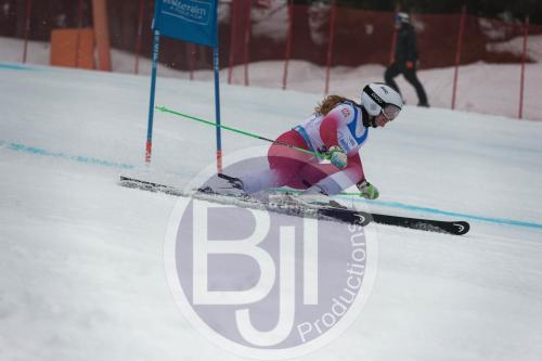 BJT 9546 DxO