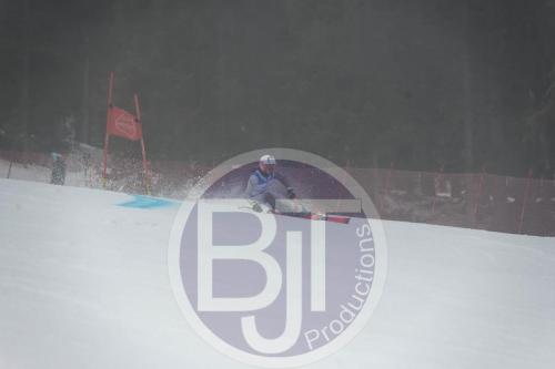 BJT 9547 DxO