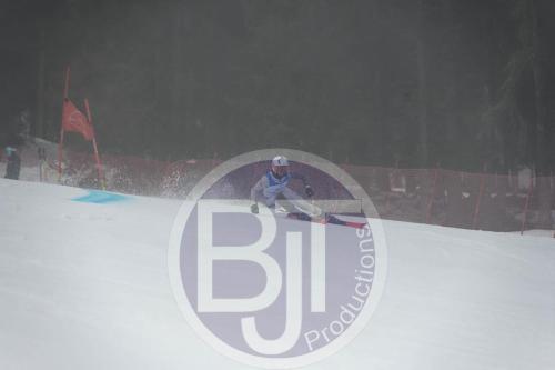 BJT 9548 DxO