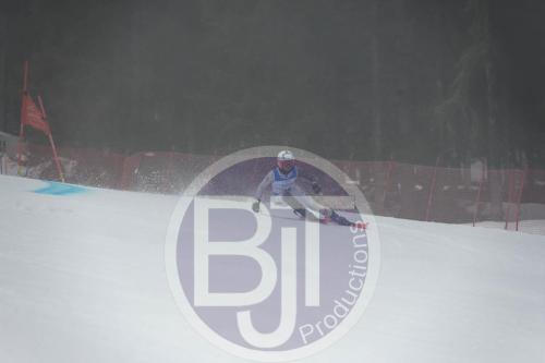 BJT 9549 DxO