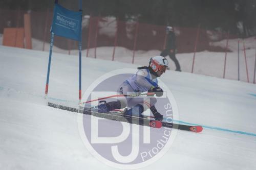 BJT 9552 DxO