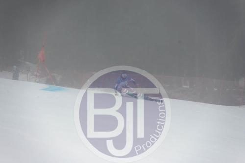 BJT 9553 DxO