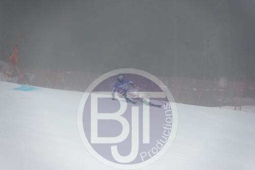 BJT 9554 DxO