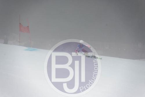 BJT 9557 DxO