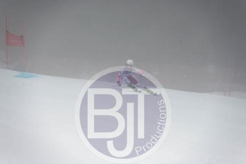 BJT 9558 DxO