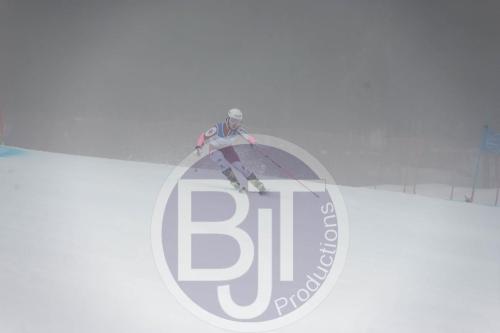 BJT 9559 DxO