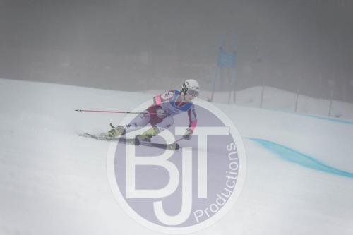 BJT 9560 DxO