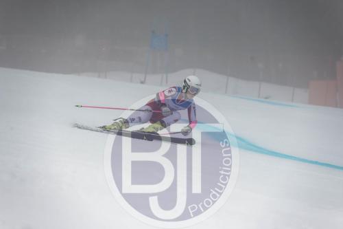 BJT 9561 DxO