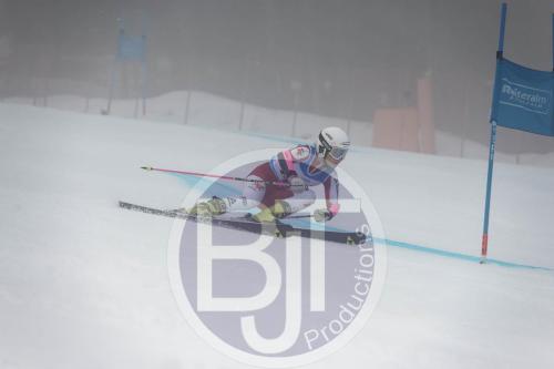 BJT 9562 DxO