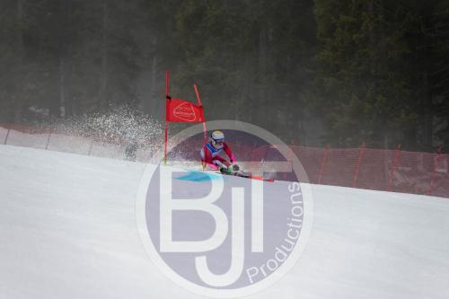 BJT 9564 DxO