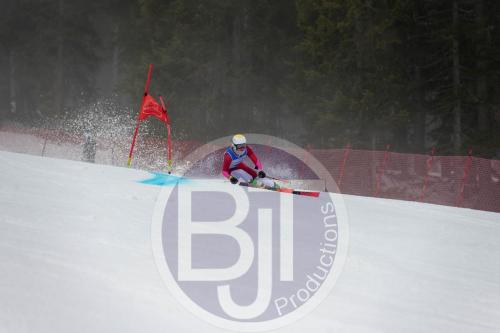 BJT 9565 DxO