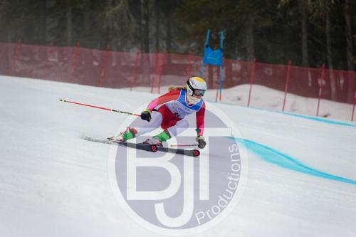 BJT 9567 DxO
