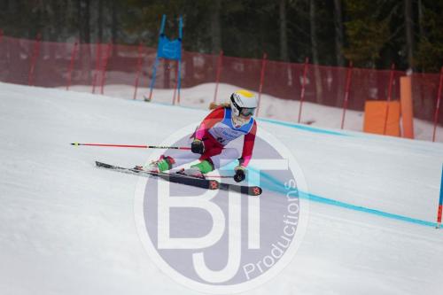 BJT 9568 DxO