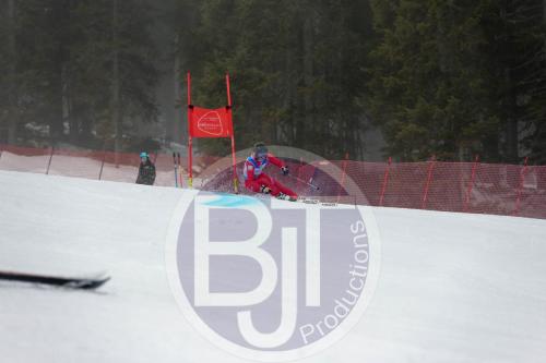 BJT 9570 DxO