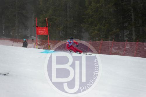 BJT 9571 DxO