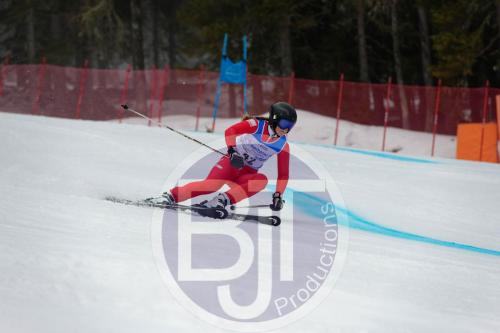 BJT 9573 DxO