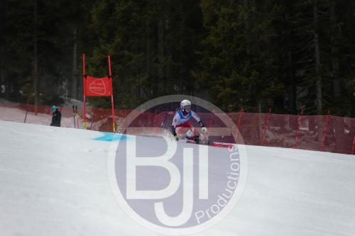 BJT 9583 DxO