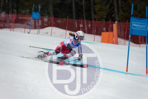 BJT 9584 DxO