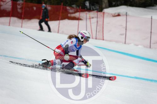 BJT 9587 DxO