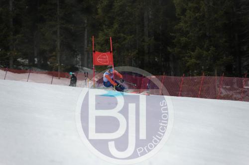 BJT 9588 DxO