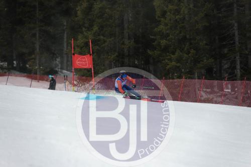 BJT 9589 DxO